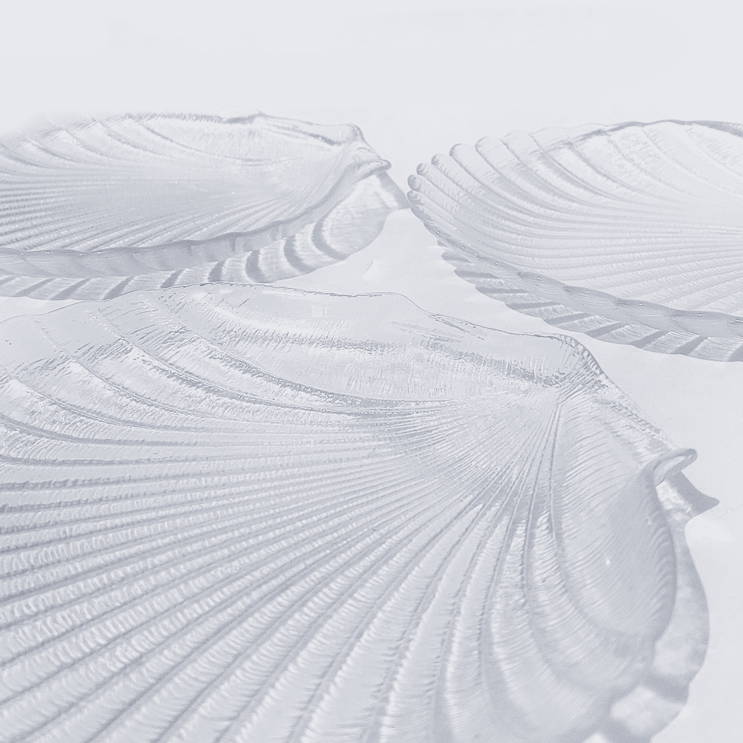 Vintage Teller Coquillagesehr gut Transparent Glas