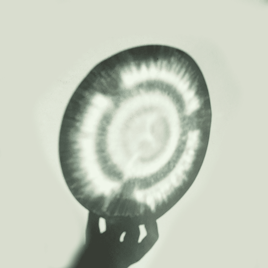 Vintage Plates Aqua Soleil by Watergreen Recycled Glass Set of 5