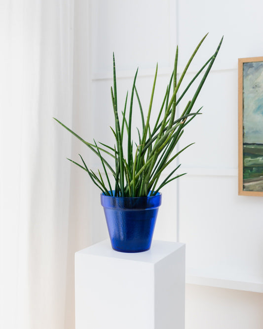 Vintage Blumentopf Glas blau Mid Century Design Italien 1970er Jahre