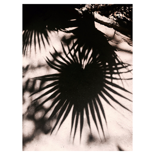 Vintage picture Shadow by Océane BURET Main color Black, other colors White, Gray