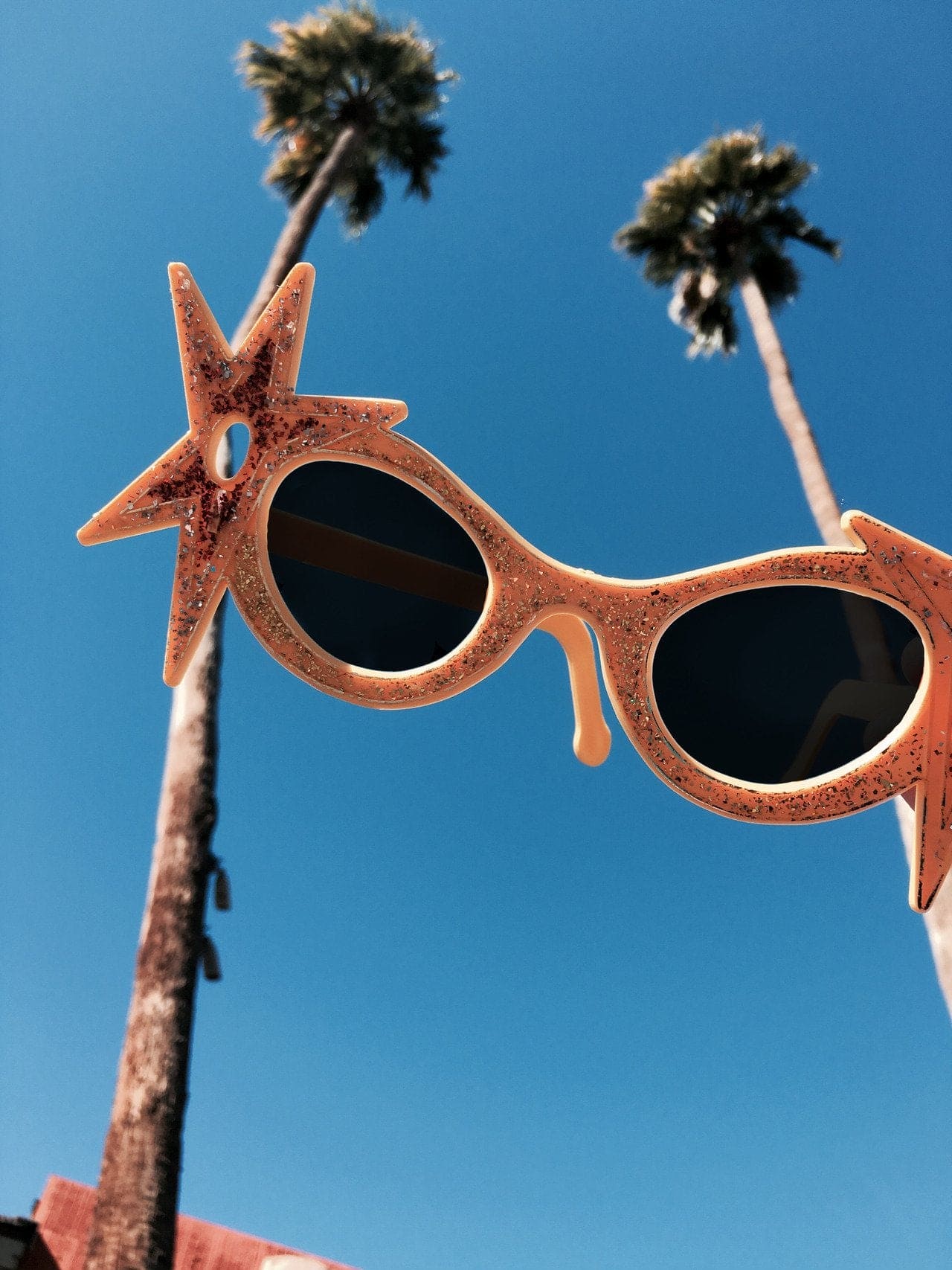 Vintage Druck "Sunnies, Palm Springs" von Océane BURET