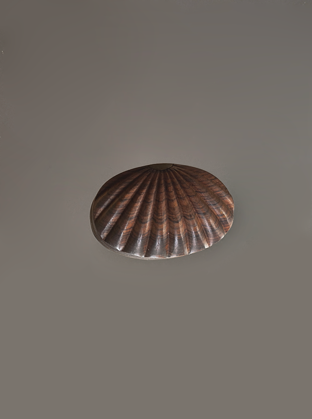 Vintage Holzbox Muschelform