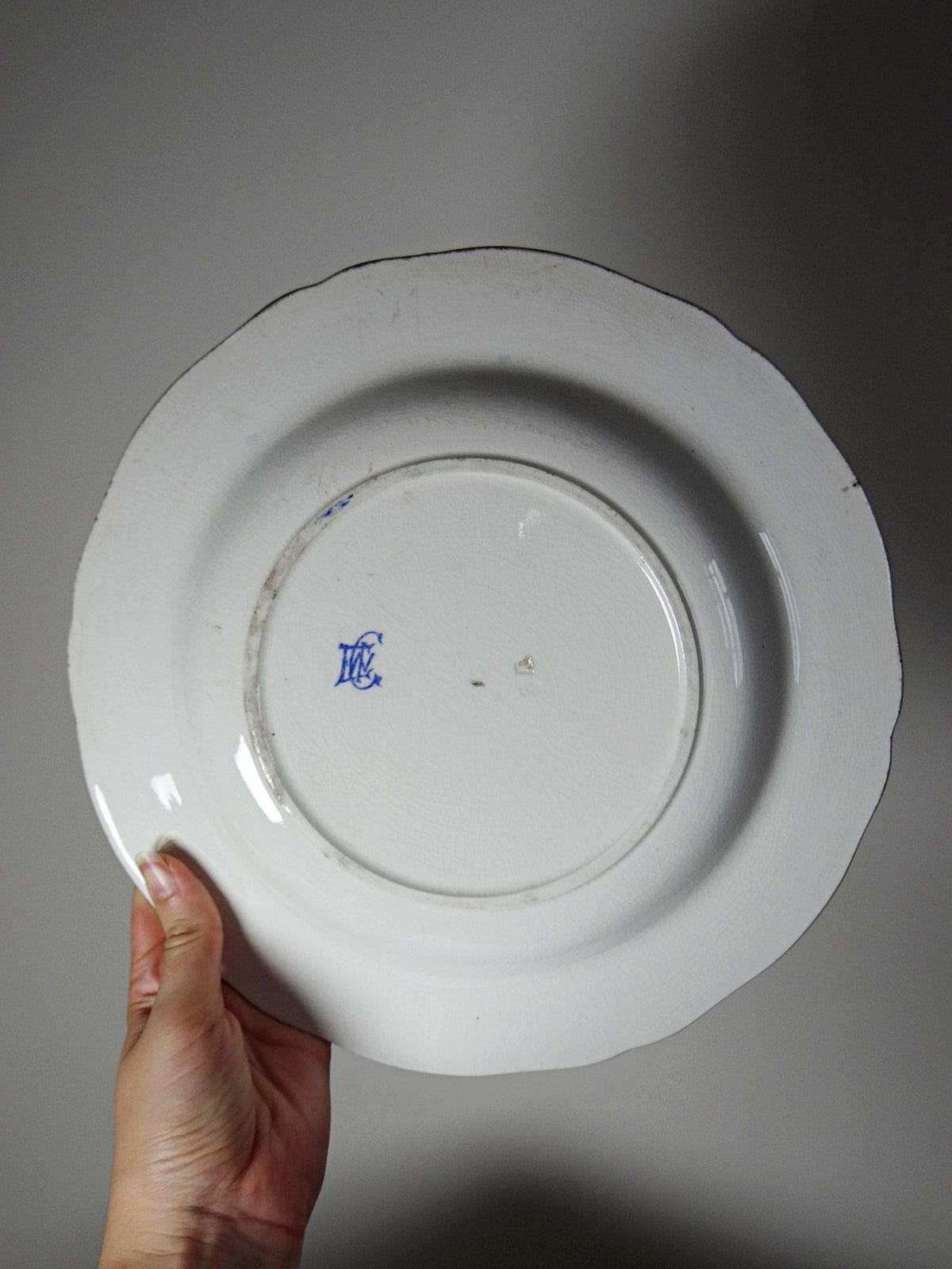 Vintage Teller "Coq und Pivoines" von Gien, Fayence um 1900