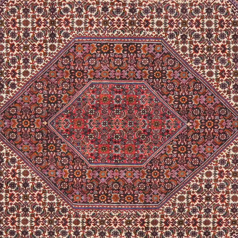 Tapis Vintage Bidjar Bookan 235x146cm Motifs colorés inspirés de la nature