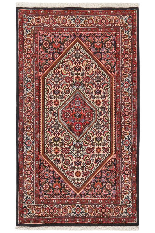 Vintage Carpet Bidjar Zandjan 148x85cm Colorful Nature-inspired motifs
