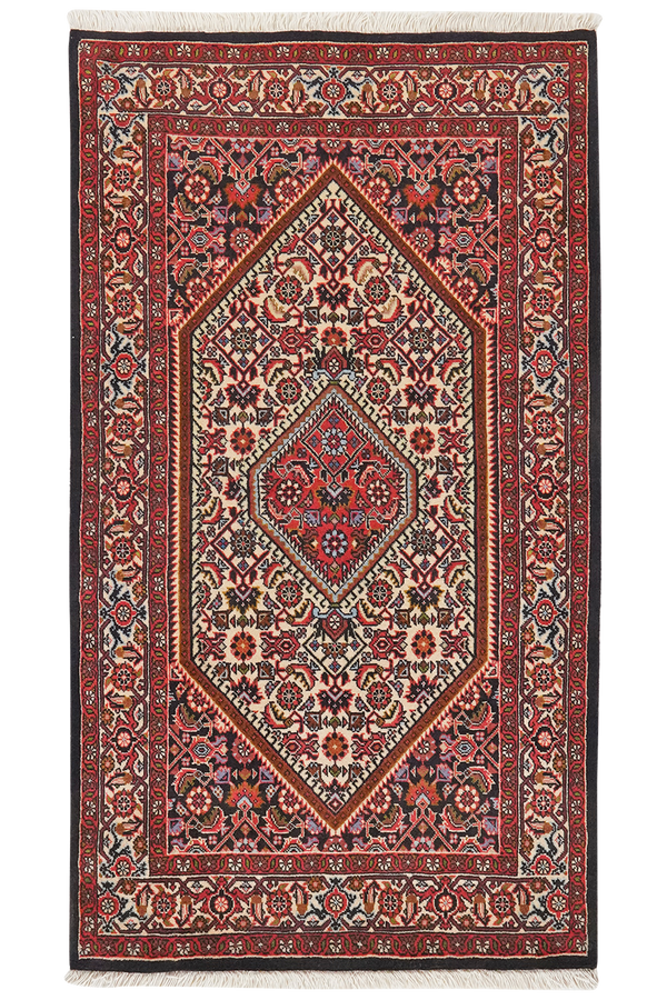 Tapis Vintage Bidjar Zandjan 148x85cm Motifs colorés inspirés de la nature