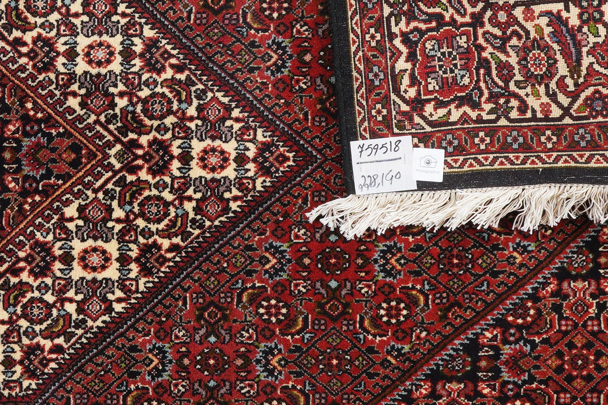 Tapis vintage Bidjar Zandjan 228x140cm motifs naturels colorés