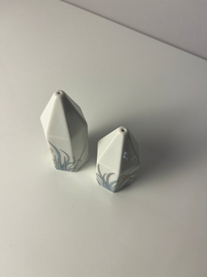 Vintage Set Salz und Pfefferstreuer Polygon Libelle von Tapio Wirkkala für Rosenthal