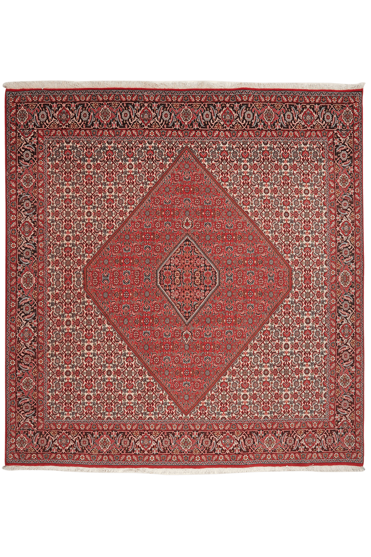 Tapis Bidjar Zandjan Vintage coloré 208x201cm