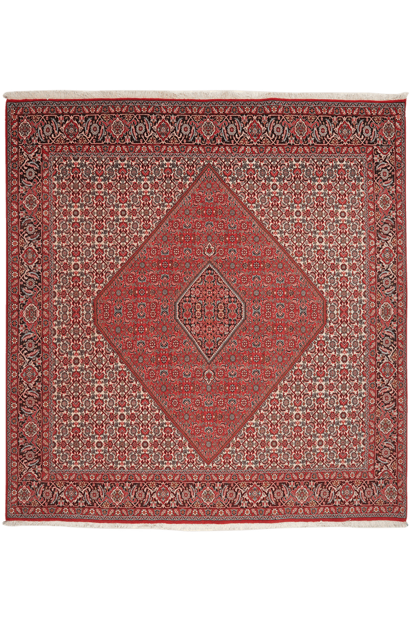 Tapis Bidjar Zandjan Vintage coloré 208x201cm