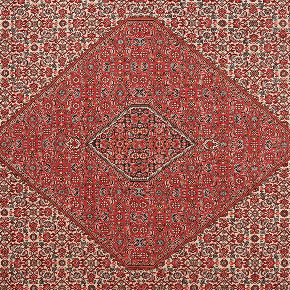 Tapis Bidjar Zandjan Vintage coloré 208x201cm