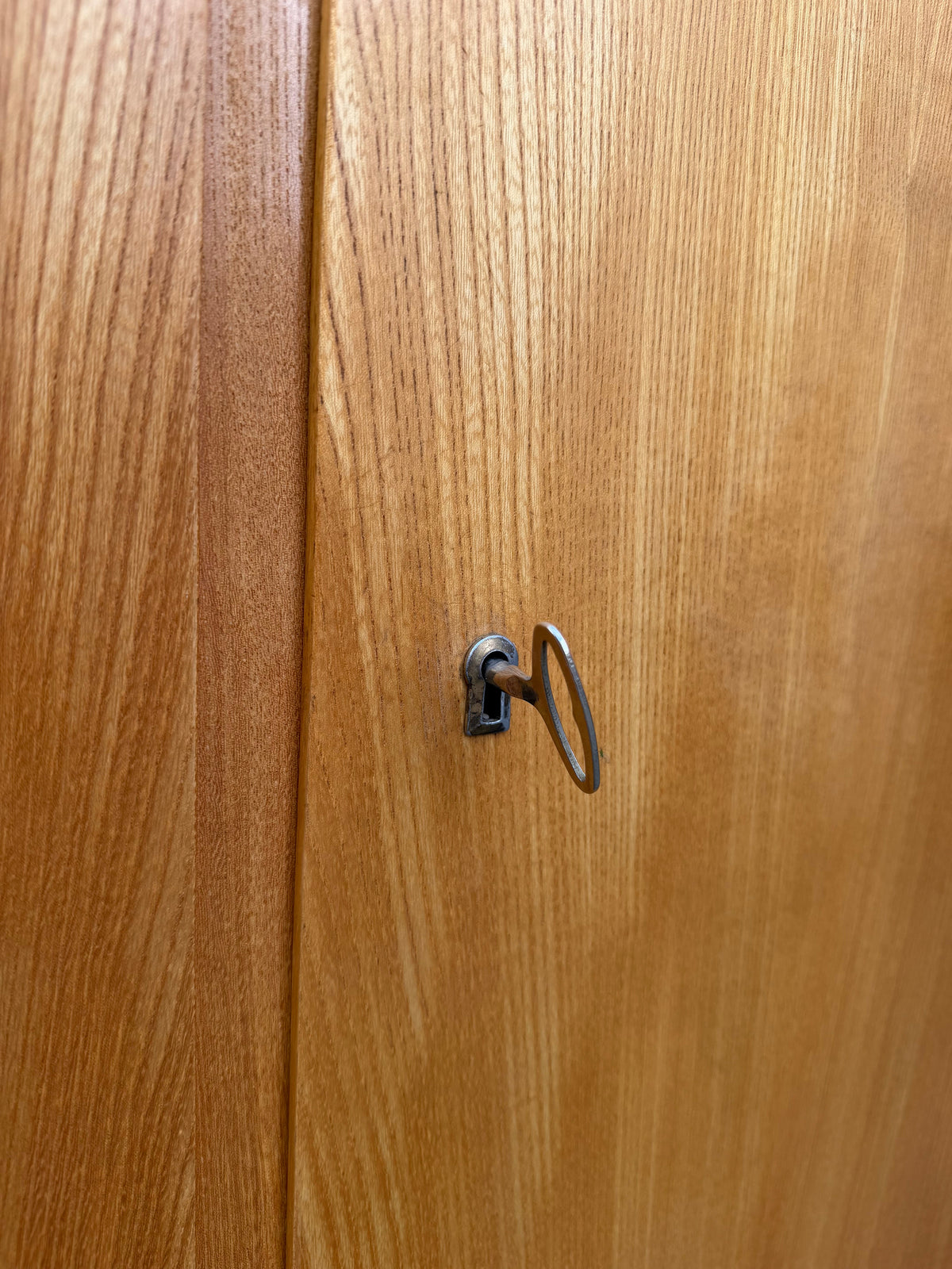 Vintage Schrank Typ 602/B Esche von Franz Ehrlich für Hellerau