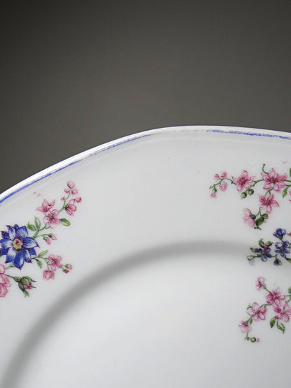 Vintage Dessertteller von Bernardaud für B&C° florales Dekor Set von 7