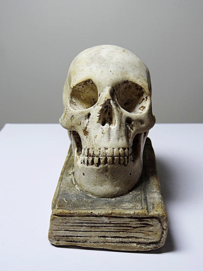 Vintage Memento Mori aus Gips, Schädel auf Buch