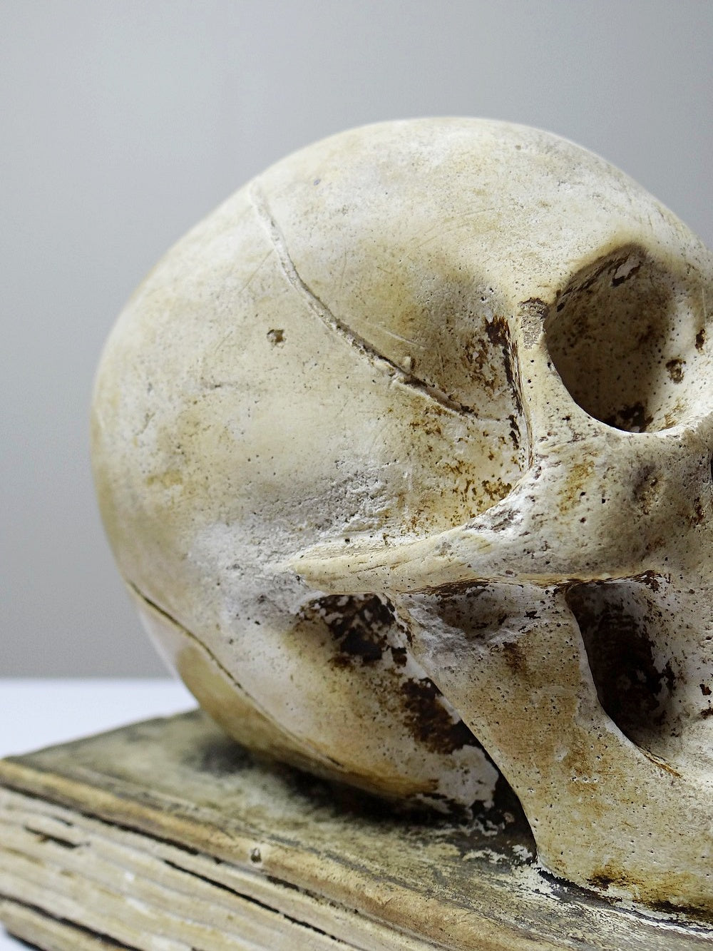 Vintage Memento Mori aus Gips, Schädel auf Buch