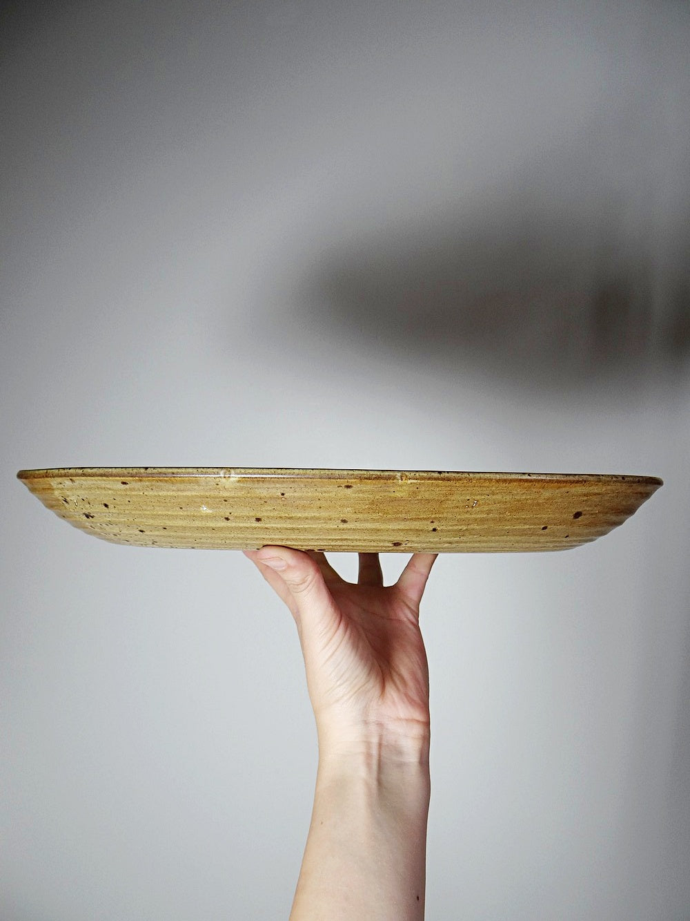 Vintage Servierplatte oval Inaltérable von Salins Braun