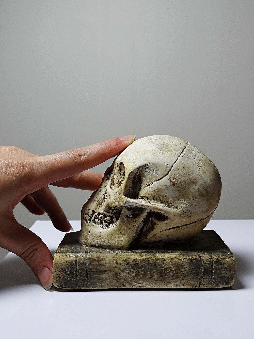 Vintage Memento Mori aus Gips, Schädel auf Buch