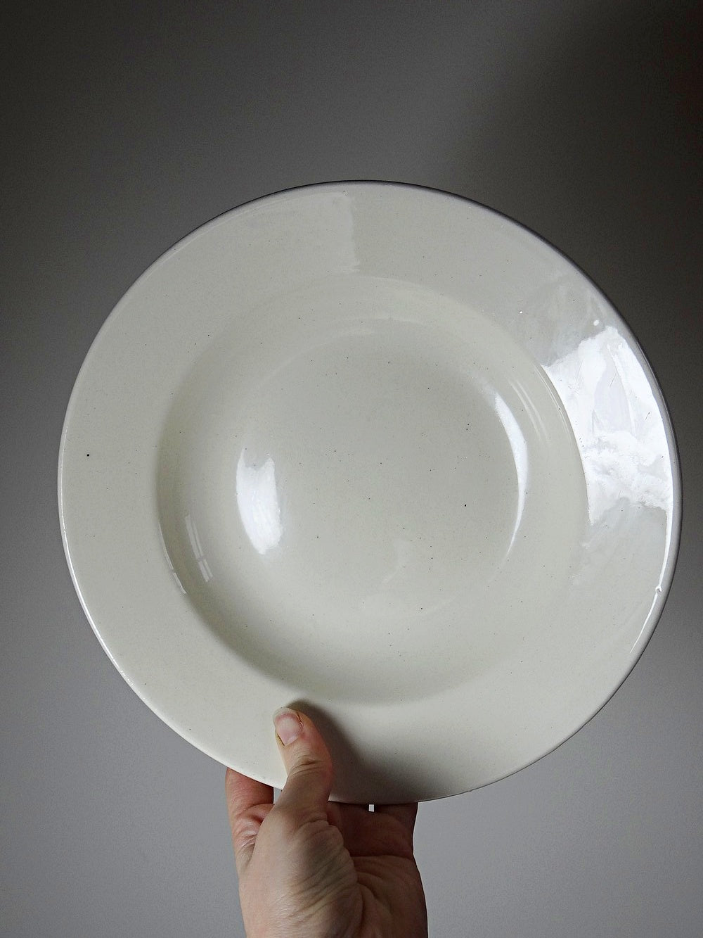 Vintage Suppenteller Set von 5 aus Eisenstein weiß creme Geschirr
