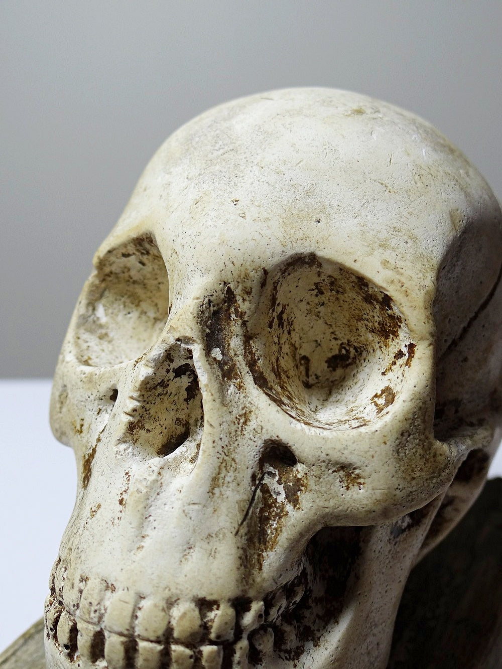 Vintage Memento Mori aus Gips, Schädel auf Buch