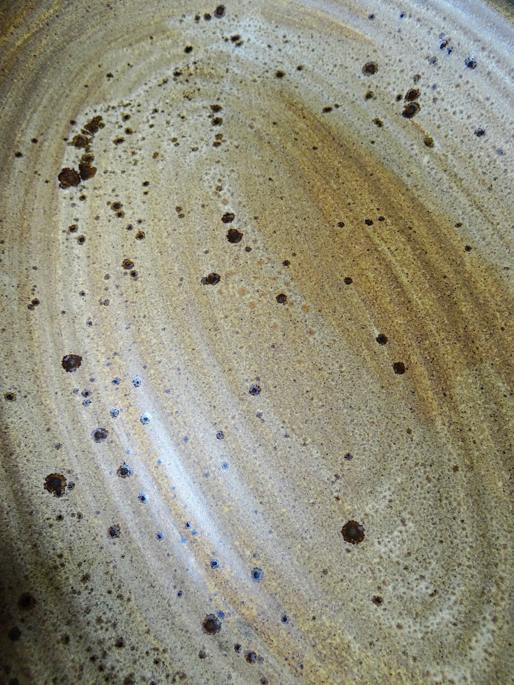 Vintage Servierplatte oval Inaltérable von Salins Braun