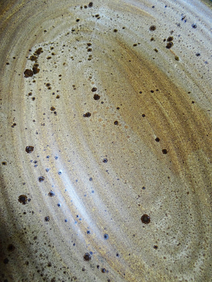 Vintage Servierplatte oval Inaltérable von Salins Braun