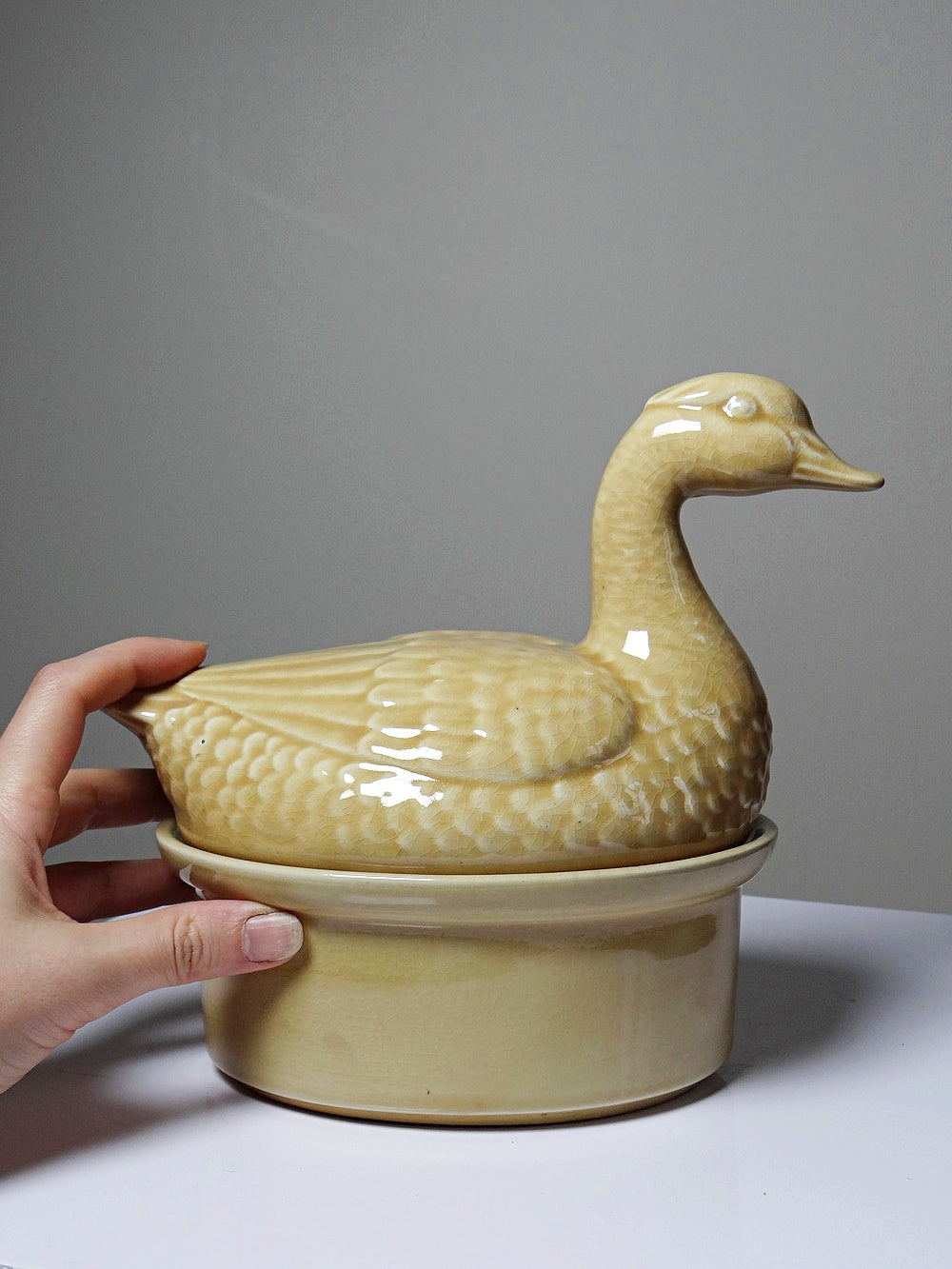 Vintage Terrine GEO von GEO für Paris France beige Ente Faïence