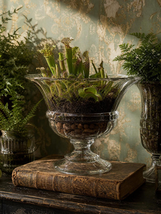 Vintage Medici Schale von Artunion