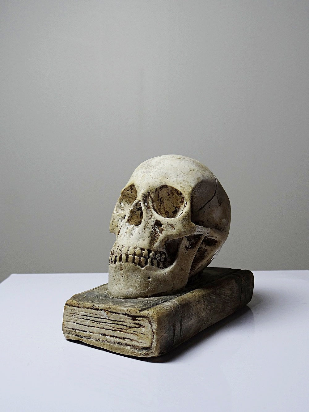 Vintage Memento Mori aus Gips, Schädel auf Buch