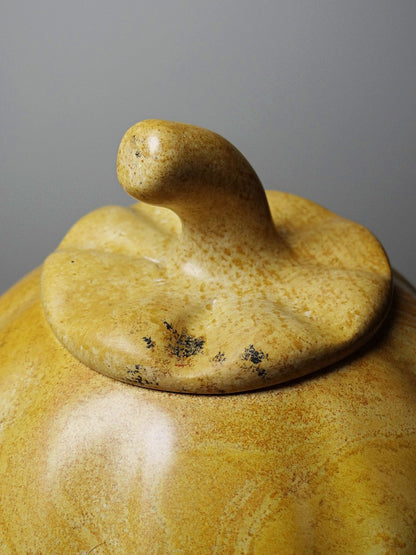 Vintage Stein Dose Kürbis aus Speckstein, beige creme honiggold braun
