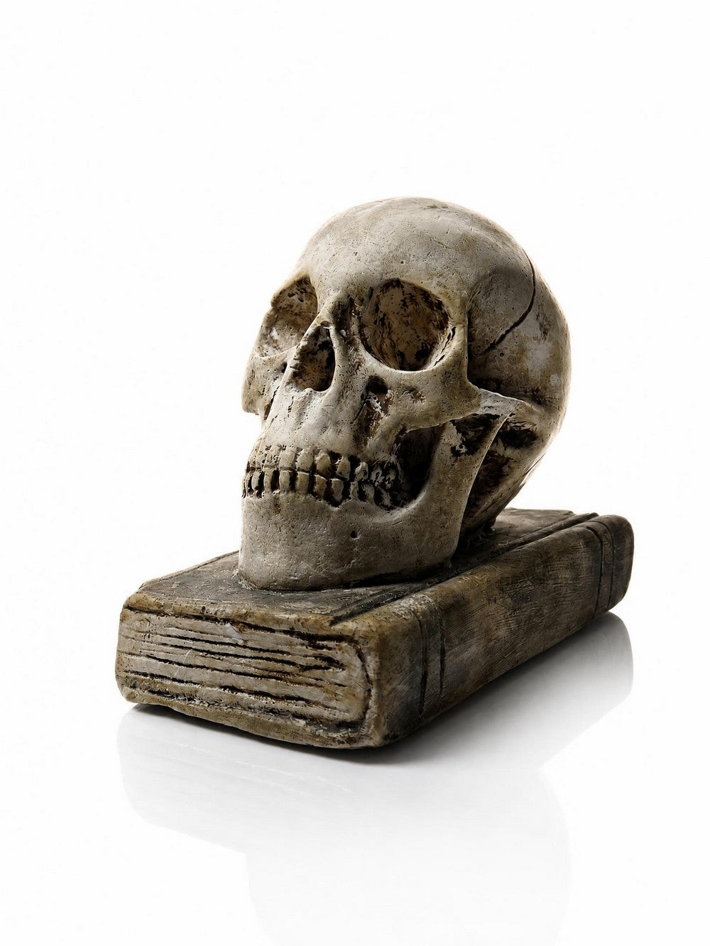 Vintage Memento Mori aus Gips, Schädel auf Buch