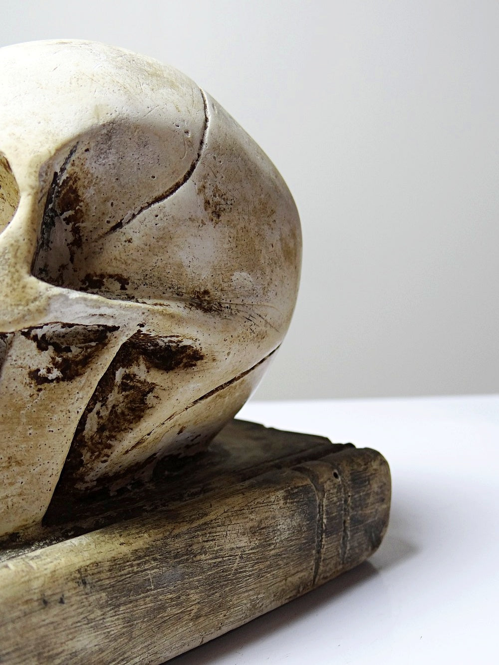 Vintage Memento Mori aus Gips, Schädel auf Buch