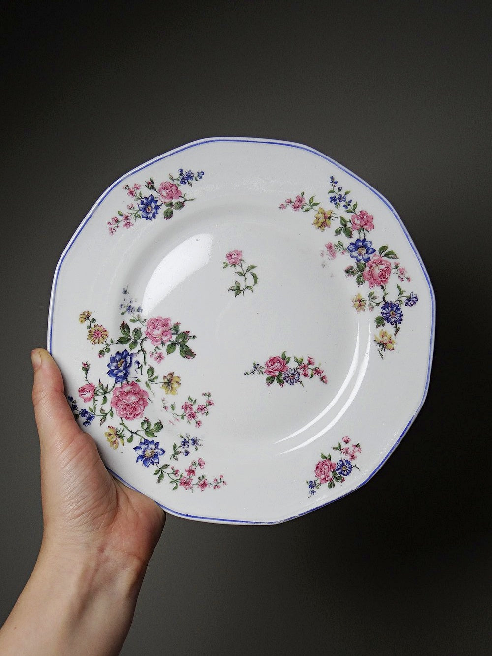 Vintage Dessertteller von Bernardaud für B&C° florales Dekor Set von 7