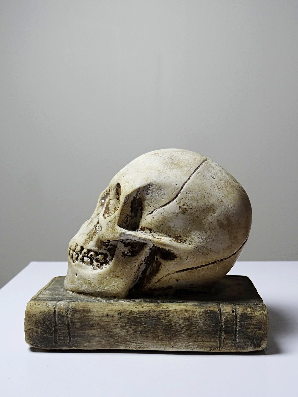 Vintage Memento Mori aus Gips, Schädel auf Buch