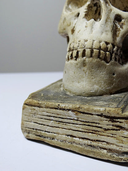 Vintage Memento Mori aus Gips, Schädel auf Buch