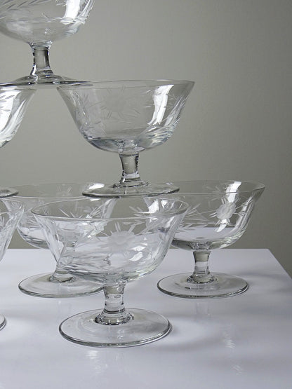 Set von 8 Vintage Champagnerschalen, radgraviertes Glas mit floralem Dekor, Böhmen