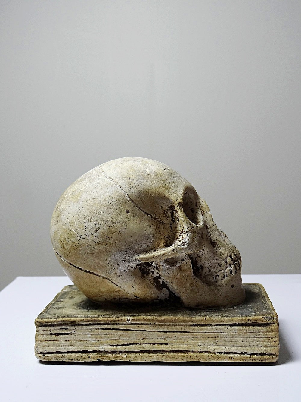 Vintage Memento Mori aus Gips, Schädel auf Buch