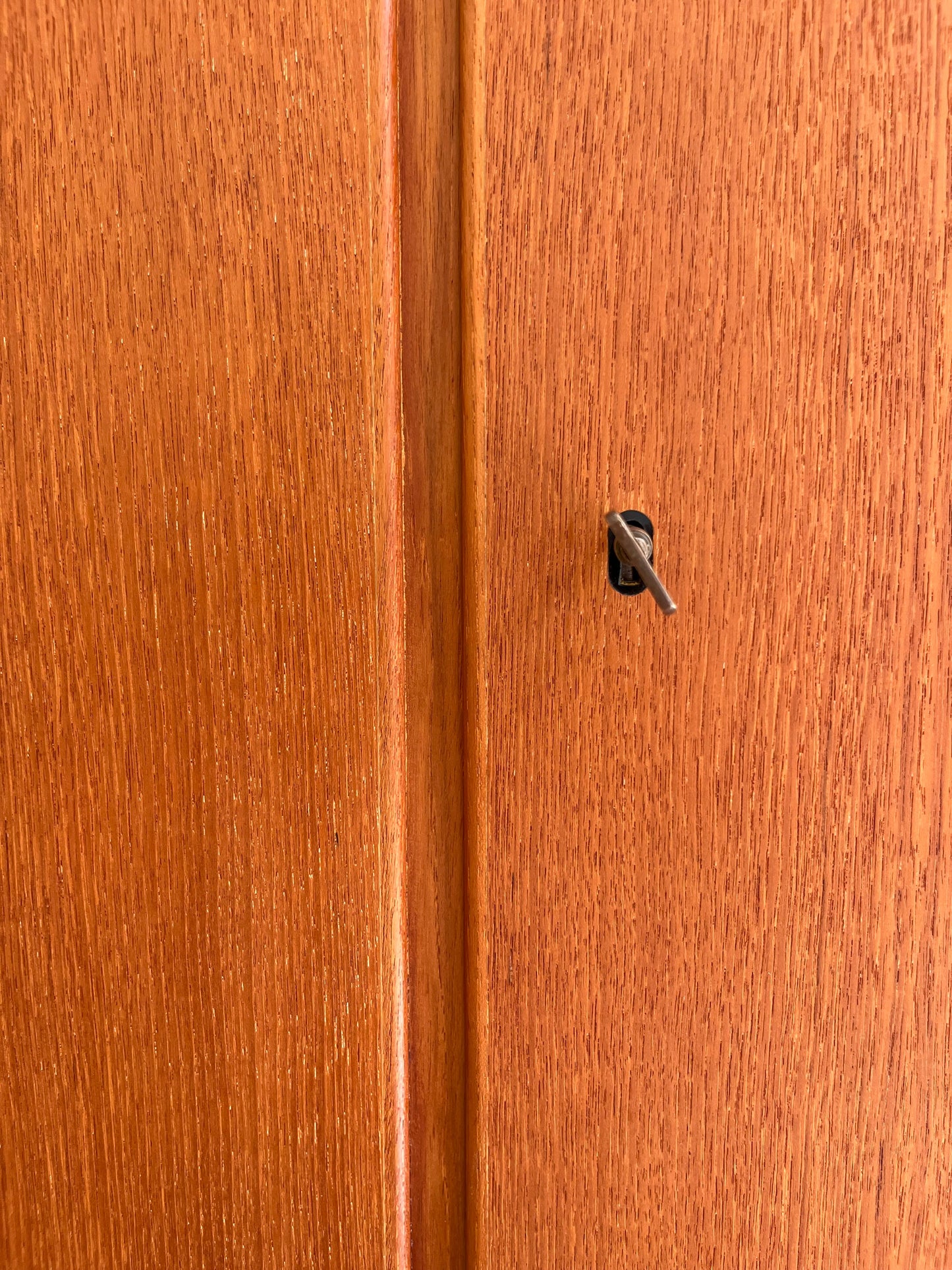 Vintage Kleiderschrank Teak von Steguweit & Sohn