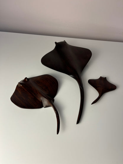 Set von 3 Vintage Rochenskulptur aus Palisander