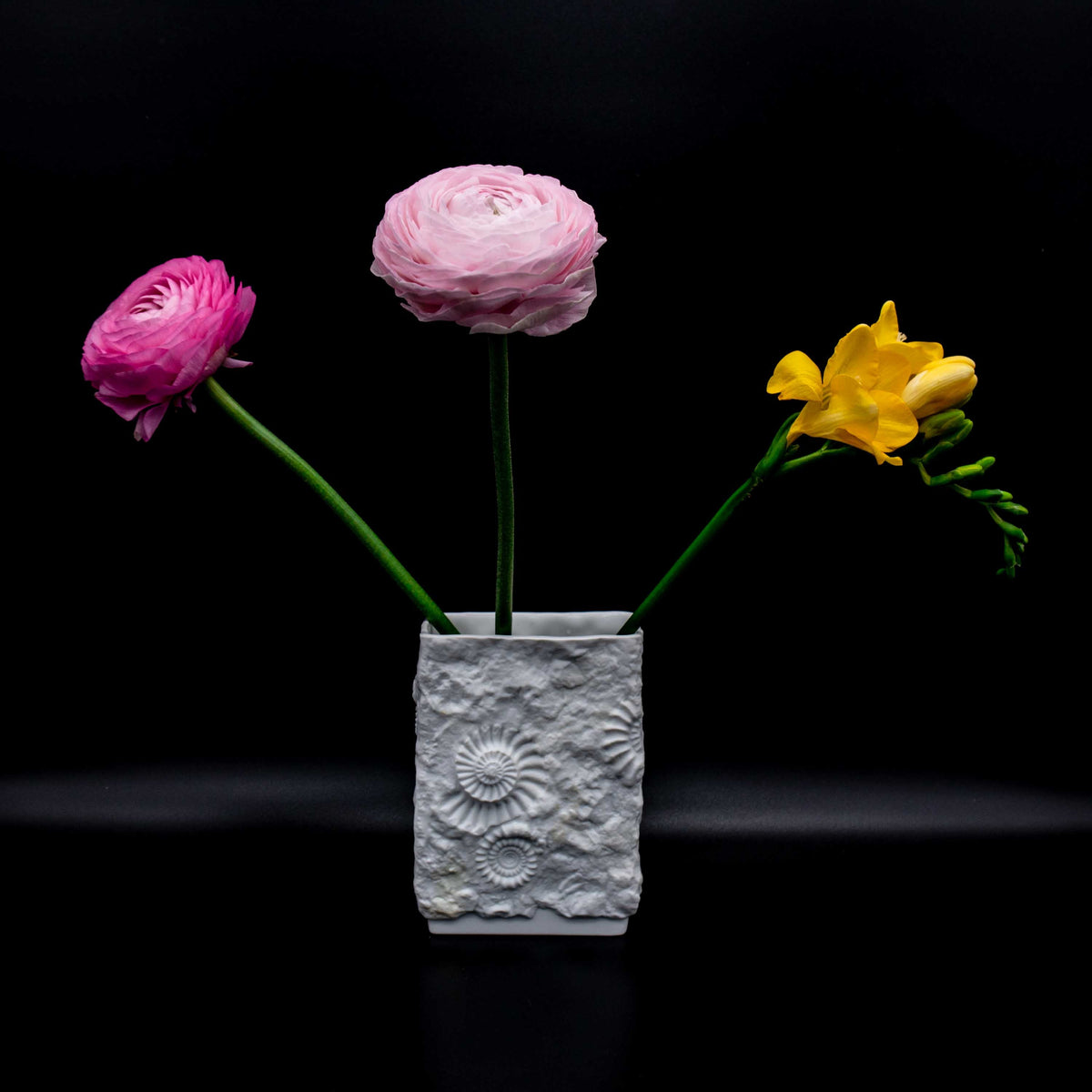 Vintage Vase Ammoniten von Manfred Frey für Alboth und Kaiser