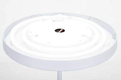 Vintage Stehleuchte Disk von Daniel Kübler für Belux