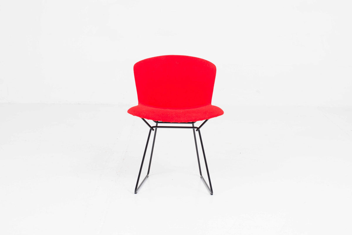 Vintage Stuhl Bertoia von Harry Bertoia für Knoll International, schwarz mit rotem Polster