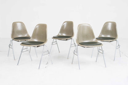 Chaise d'appoint vintage DSS en fibre de verre par Charles Eames pour Vitra en kaki