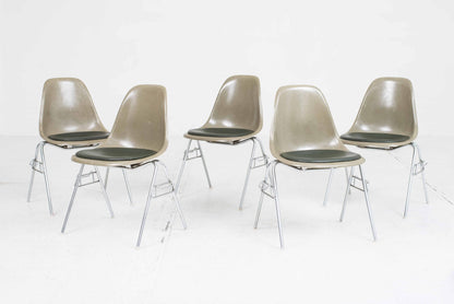 Chaise d'appoint vintage DSS en fibre de verre par Charles Eames pour Vitra en kaki