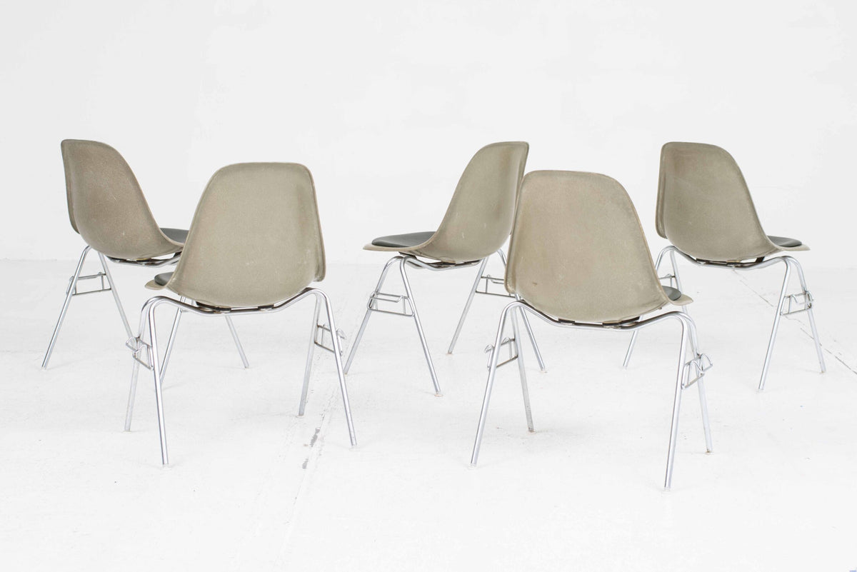 Fiberglass DSS Side Chair by Charles Eames for Vitra in Khaki