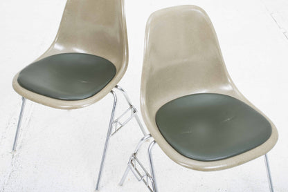 Chaise d'appoint vintage DSS en fibre de verre par Charles Eames pour Vitra en kaki