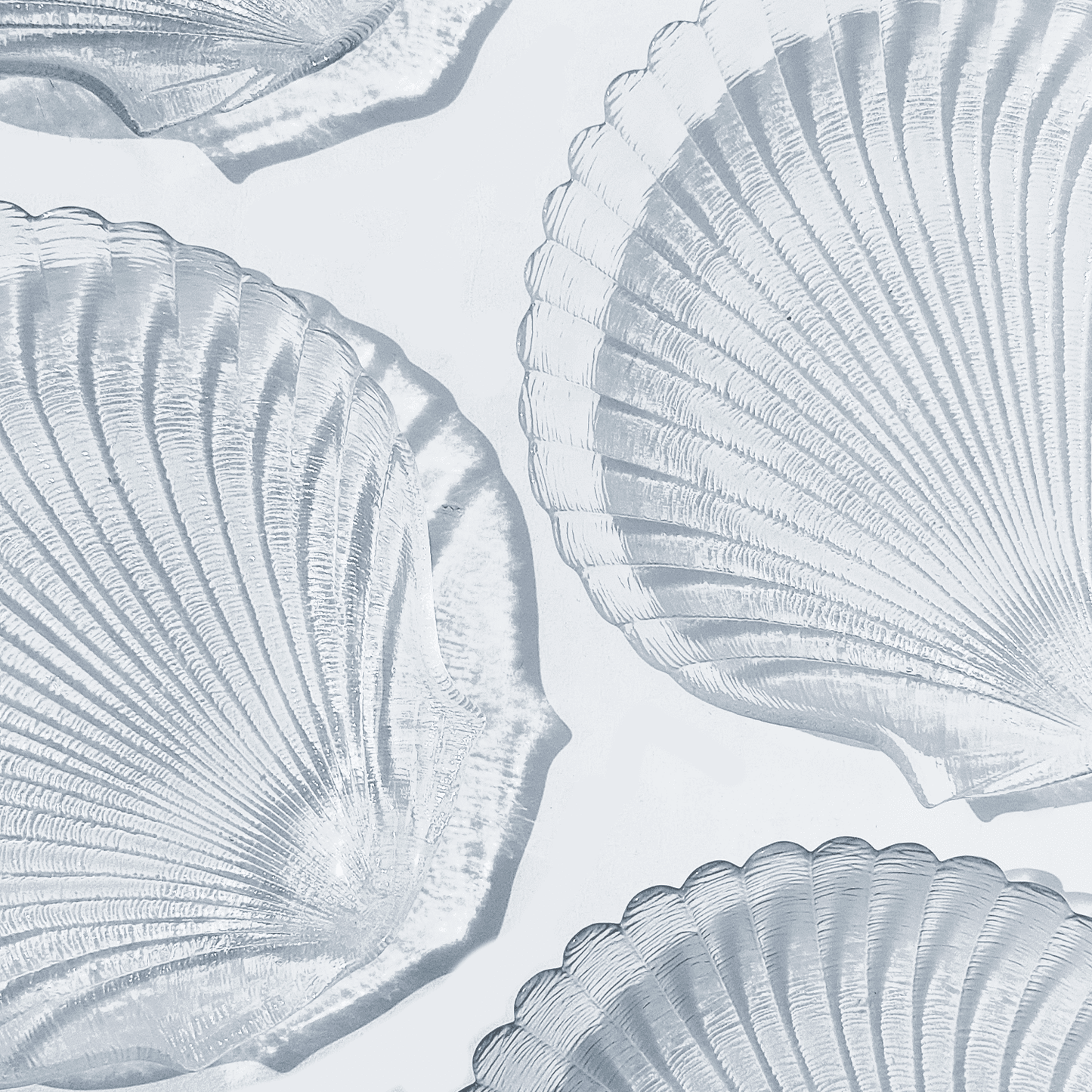 Vintage Teller Coquillagesehr gut Transparent Glas