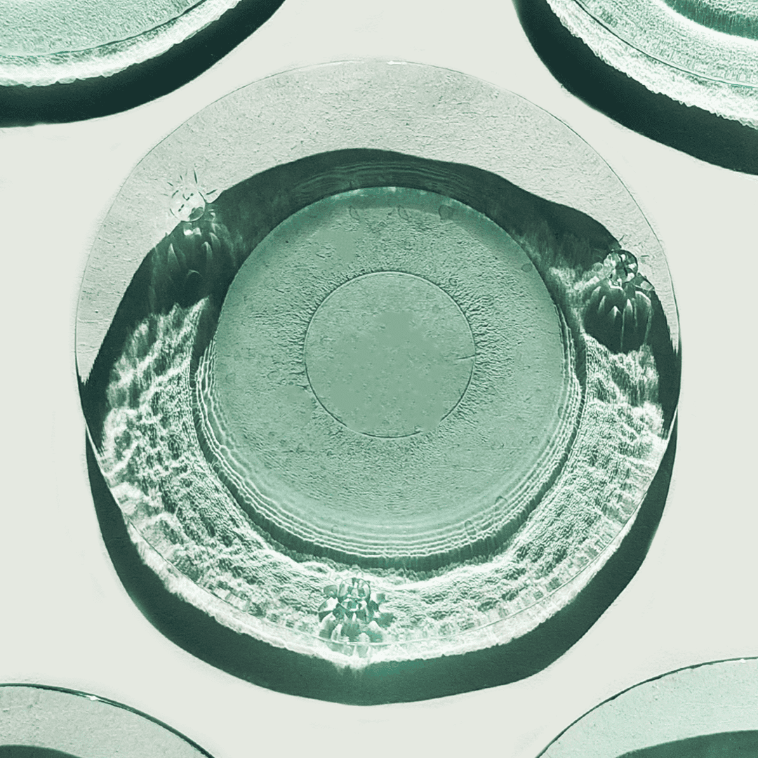 Vintage Teller Aqua Soleil von Wassergrün Recyceltes Glas Set von 5