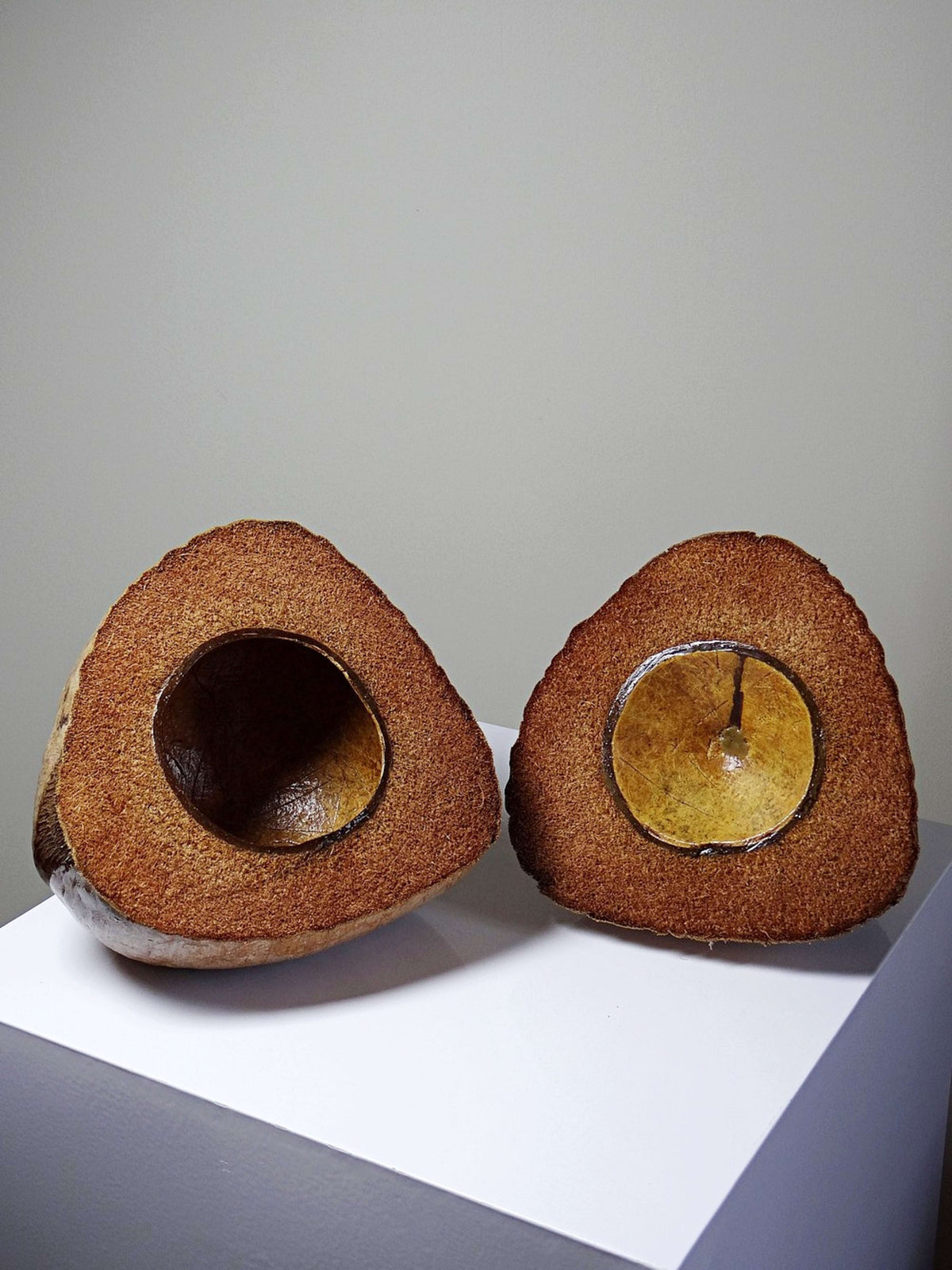 Vintage Dose Kokosnuss, afrikanisches Kunsthandwerk