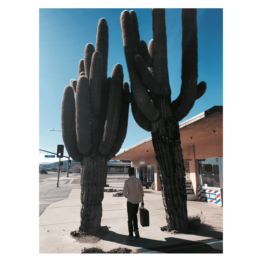 Vintage print "Cactus on the road" by Océane BURET