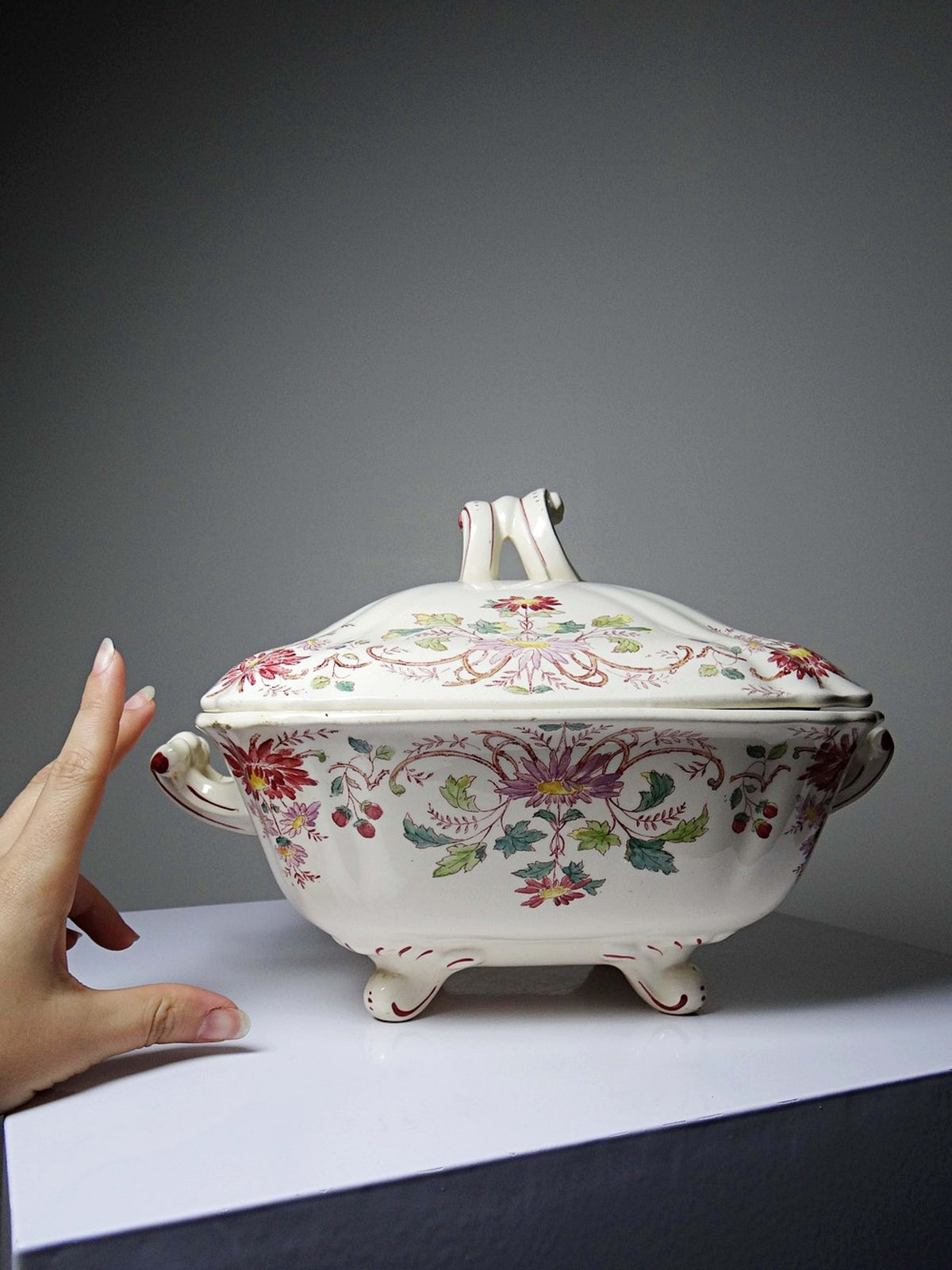 Vintage Terrine "Pâquerettes" von Longchamp, Art Nouveau